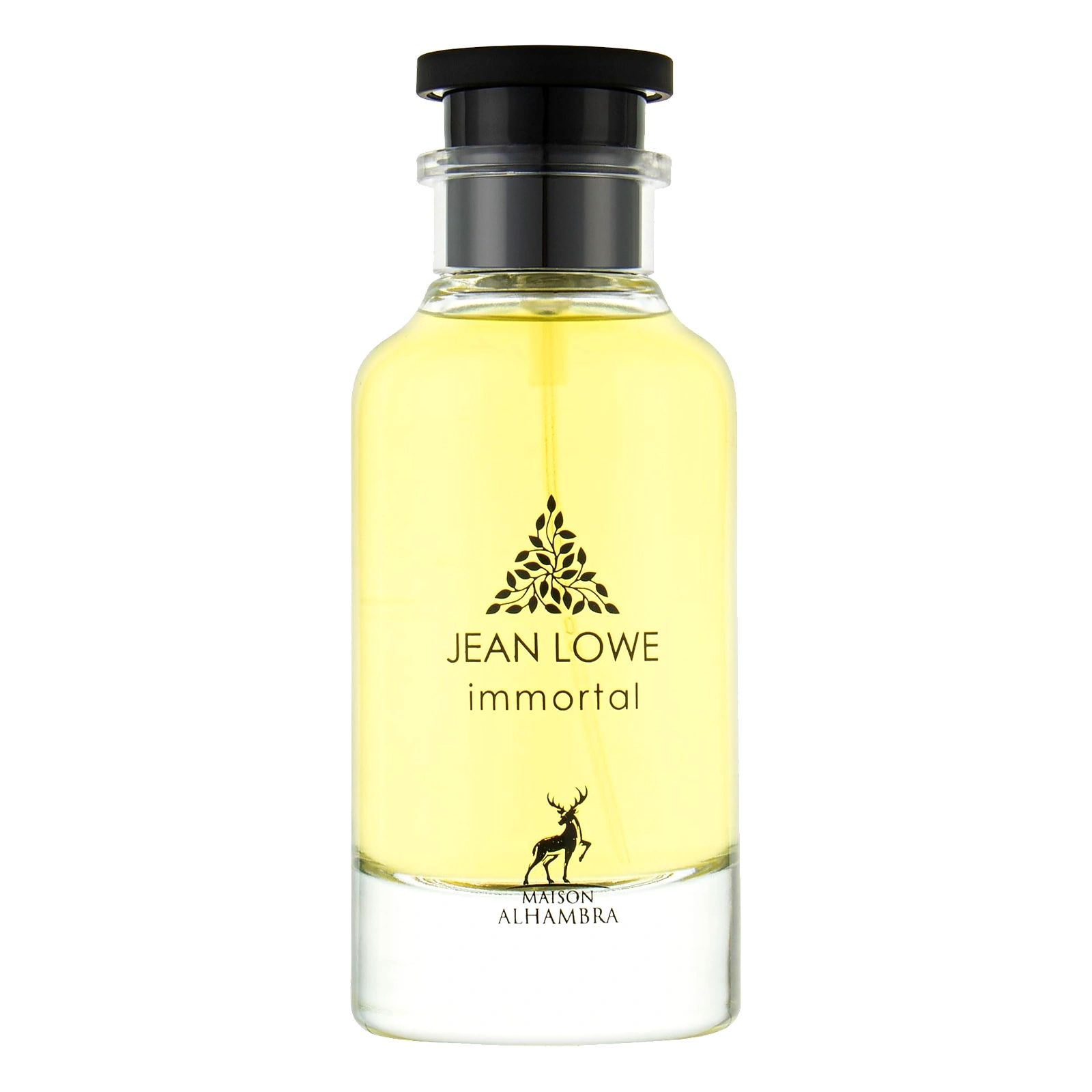 Jean Lowe Immortel, perfume especiado de Fragrance World